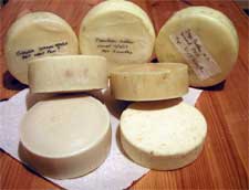 Display of various hard home made cheeses