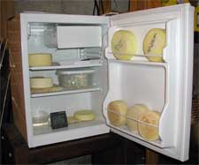 Mini-refrigerator full of cheeses