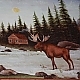 Moose wall paper